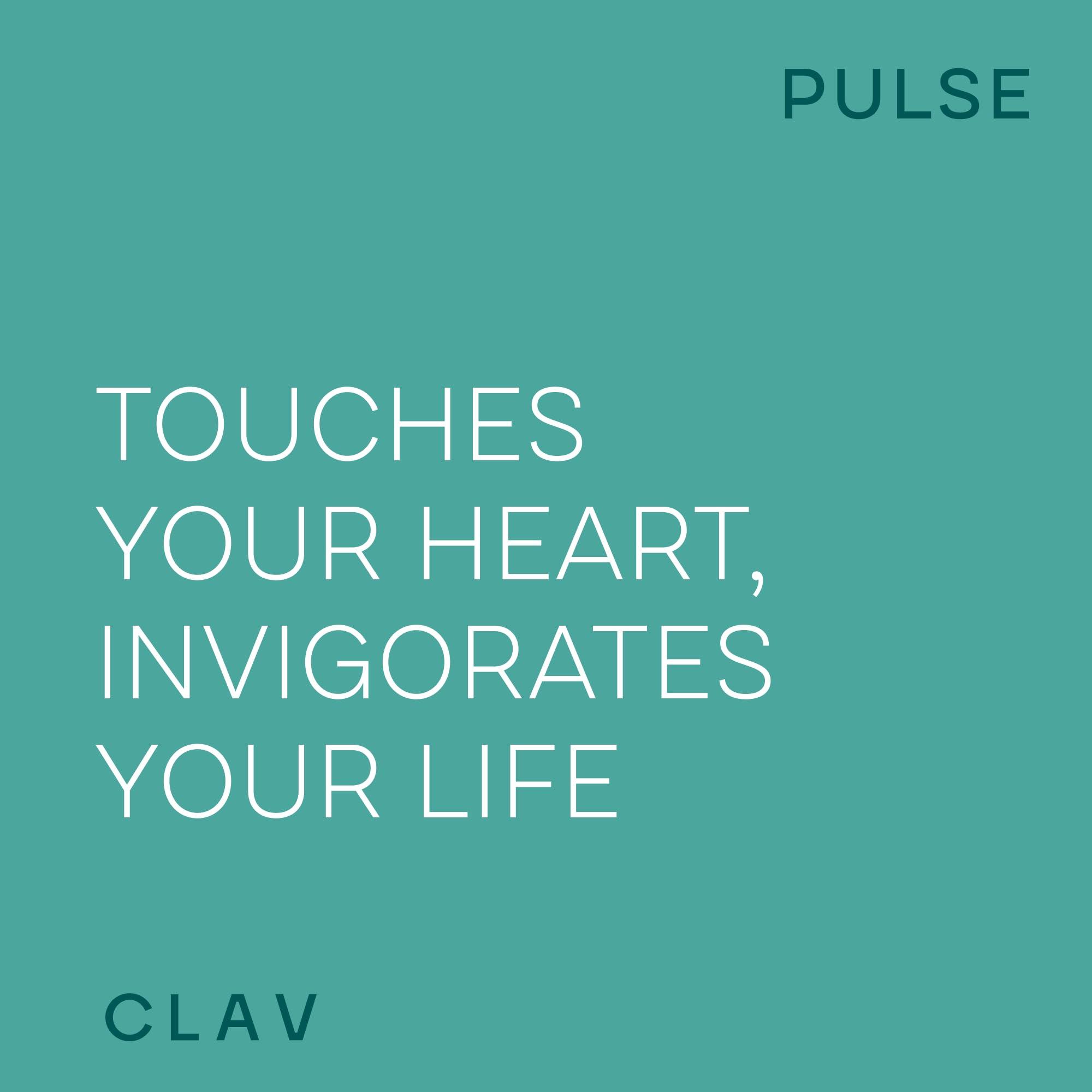 CLAV CLAV Premium Blood Pressure Support Supplement with Grape Seed Extract, L-Arginine, Black Garlic Extract & Potassium - 120 Capsules