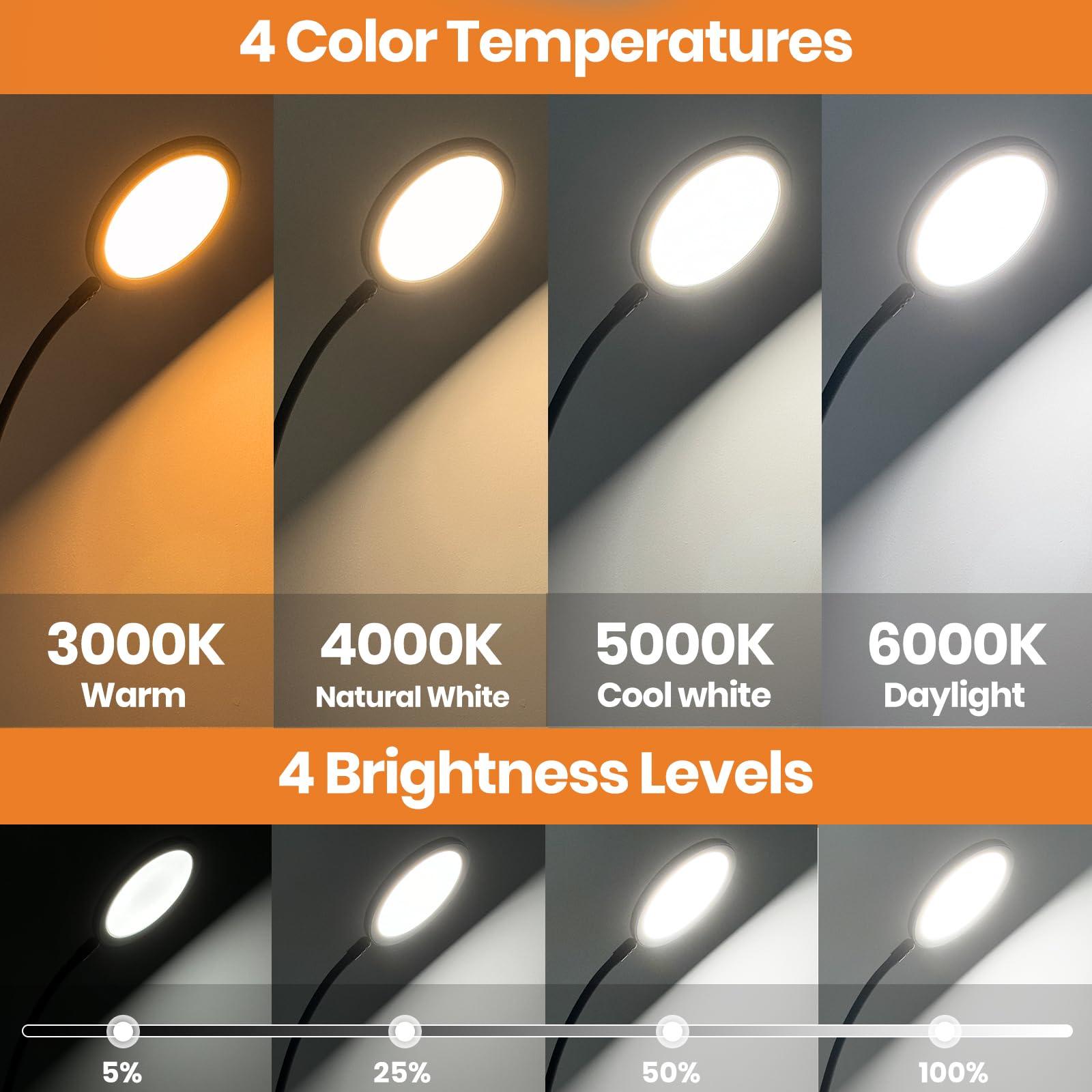 RICIAL RICIAL Light Therapy Lamp, Adjustable Brightness and Color 10000 Lux Sun Lamp, with Remote Control and Flexible Gooseneck Sunlight Lamp, 4 Timers & Memory Function Floor Lamp for Reading/Office/Home