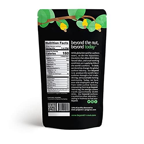 beyond Beyond Organic Cashew Flour - Made From Organic, Non-GMO, Fairtrade Cashews | Use as Paleo or Vegan Baking Flour, Finely Ground Cashew Powder