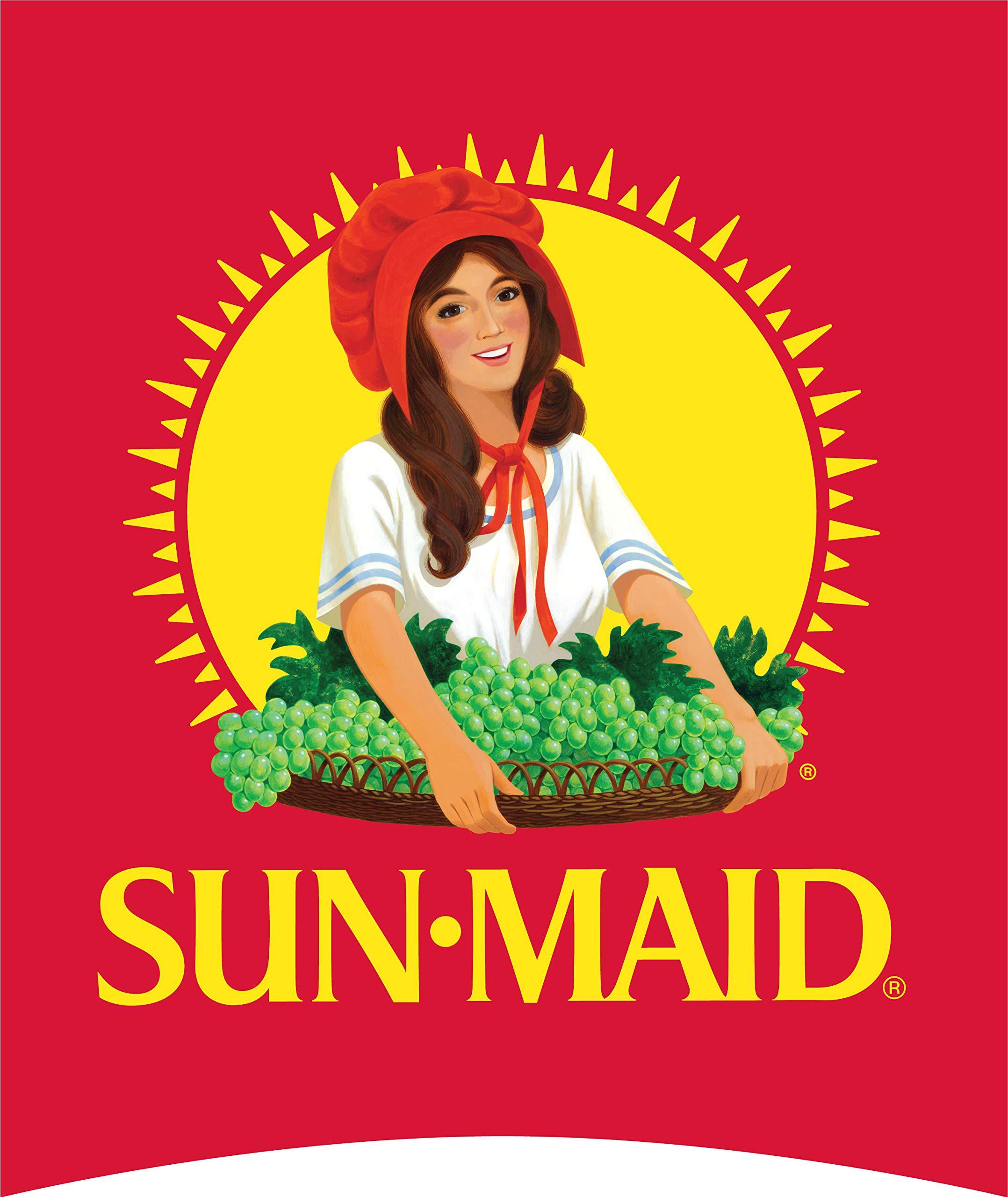 Sun-Maid Sun-Maid Strawberry & Vanilla Yogurt Coated Raisins - (6 Pack) 1 oz Snack-Size Box - Yogurt Covered Dried Fruit Snack for Lunches and Snacks