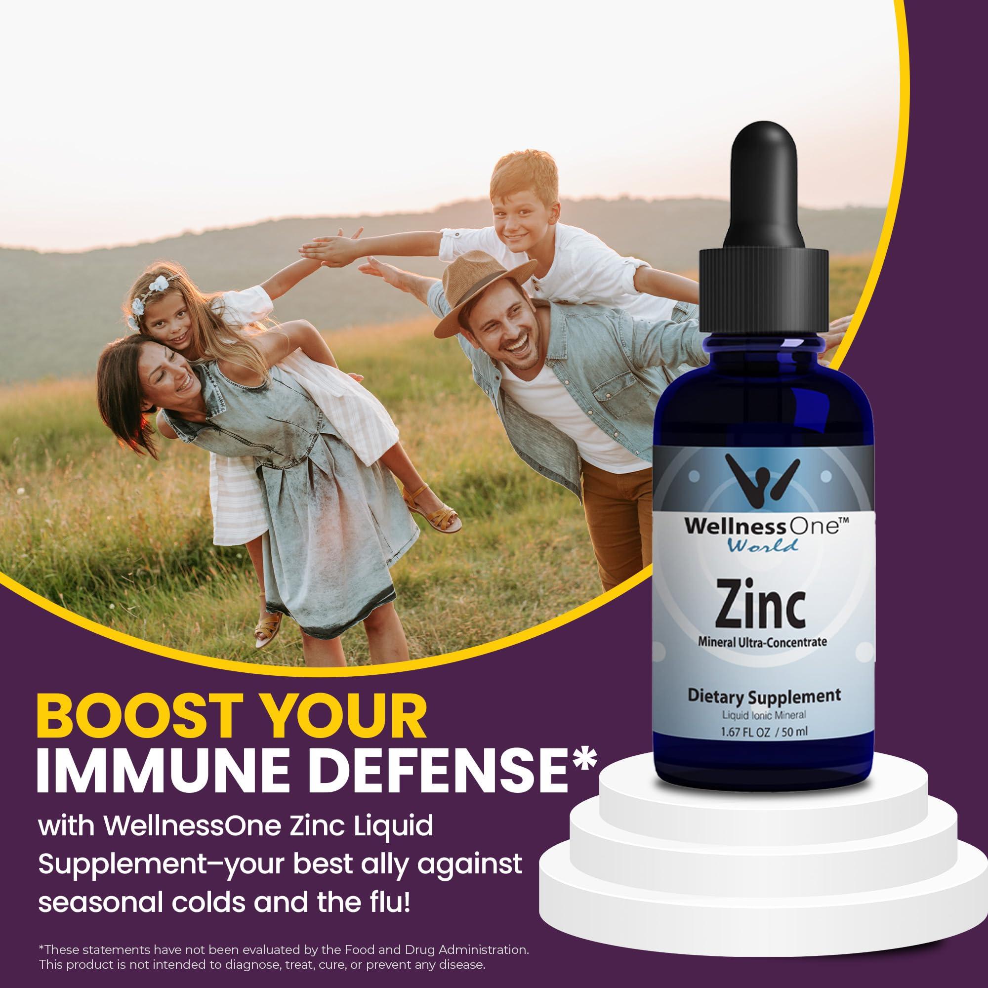 WellnessOne WellnessOne Ionic Liquid Zinc Drops for Immunity Support - Highly Absorbable Zinc Liquid Supplements for Kids & Adults - USA Tested, Vegan, Non-GMO, Gluten-Free, 1.67 fl oz