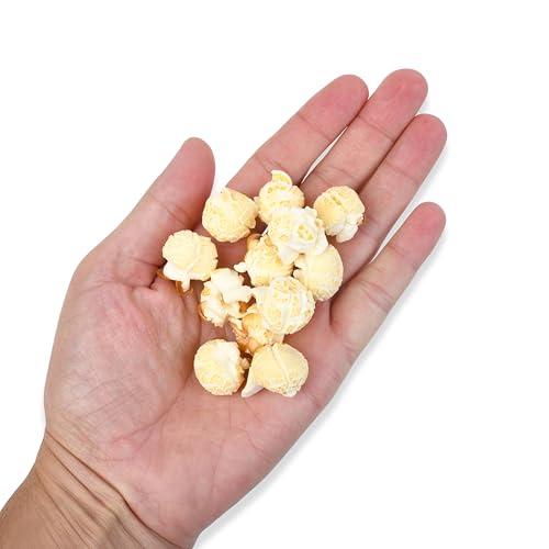 Princeton Popcorn Mushroom Popcorn Kernels for Popping Six-Pack 1lb Tubs Princeton Popcorn Farmer-Direct Non-GMO Gluten Free Popcorn Kernels Mushroom Shaped Popcorn Popping Corn Air Popper and Stovetop 6-pack 96 oz
