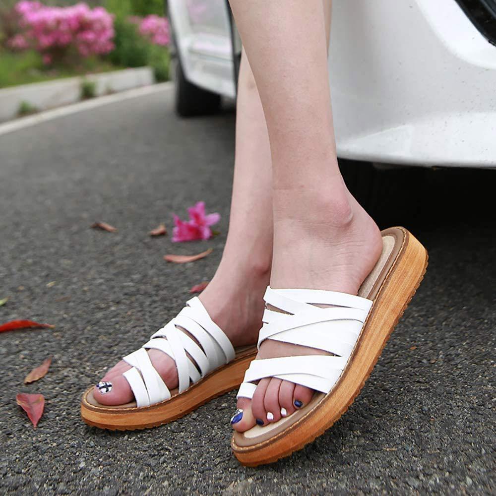 Newbee Fashion Reading Glasses 6 Packs Tube Readers Reading Glasses Portable Reading Glasses in Aluminum Case Teal 2.00