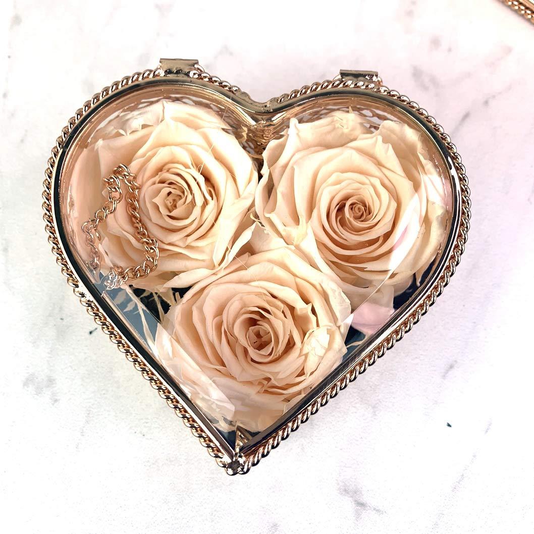 Mayorga Mayorga Medium Roast Whole Bean Coffee, 2 lb bag - Mayan Blend Organic Coffee Roast - Direct Trade, Specialty Grade, Non-GMO 100% Arabica Coffee Beans