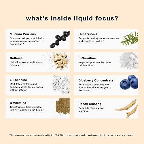 More Labs More Labs Liquid Focus, Nootropic Smart Drink with Powerful Antioxidants & Adaptogenic Herbs for Energy and Concentration, 150mg Caffeine (Pack of 24)