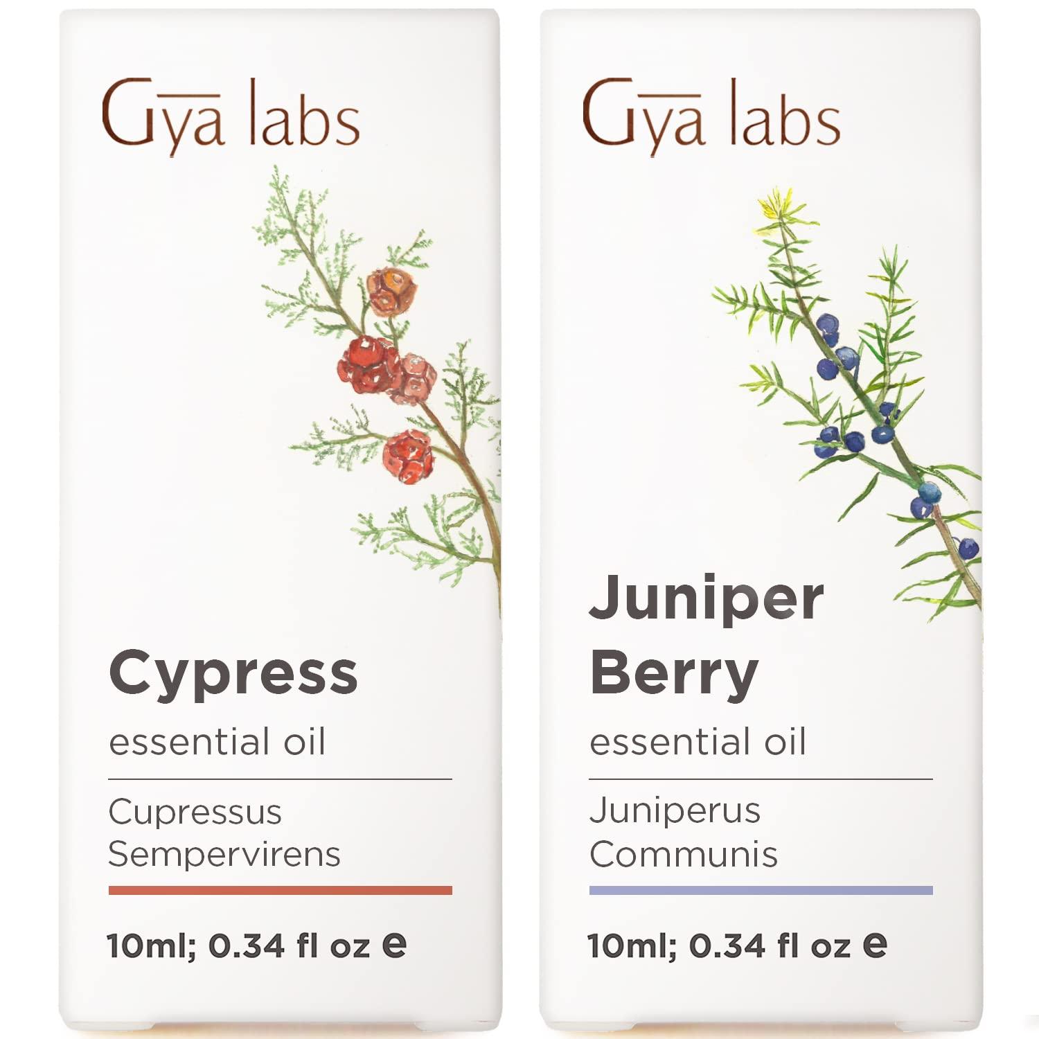 P.G Dawn Platinum Powerwash Dish Spray Fresh Scent Refill - Multi 3 Pack