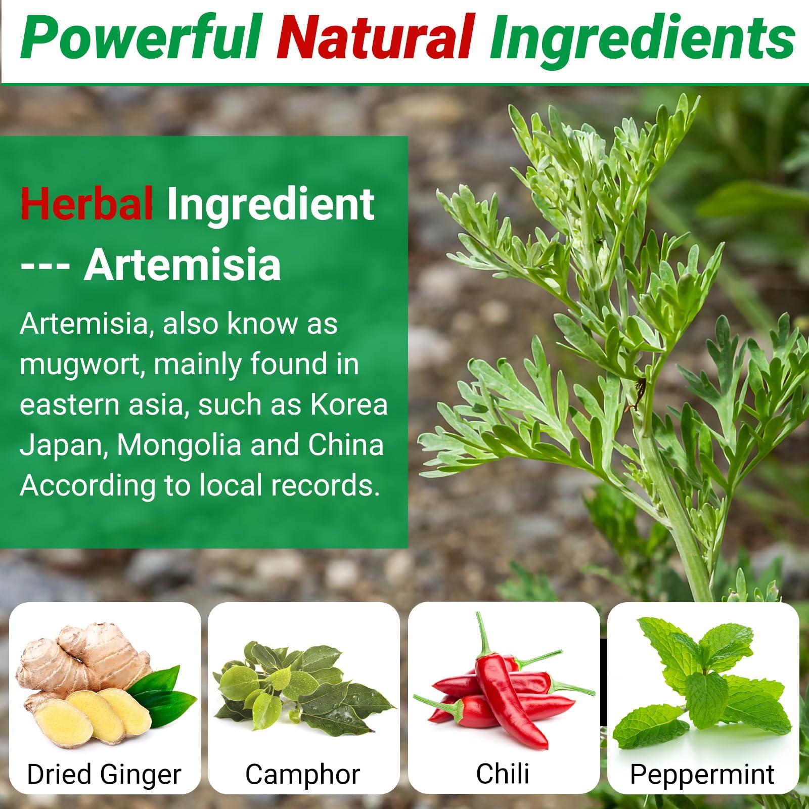 ishancare iShanCare Shoulder Patches - 24 Count Warming Herbal Plaster Maximum Strength Heat Patches, 8 Hours Deep Heating Extra Strength Joint Patch of Shoulder, Knee, Back, Neck