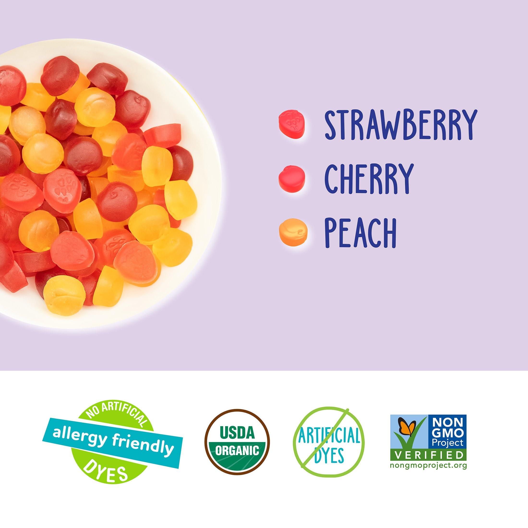 YumEarth YumEarth Organic Fruit Snacks Box, 0.7 Ounce (Pack of 10)