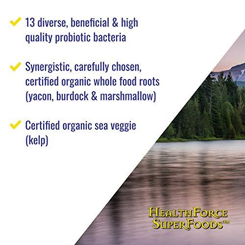 HEALTHFORCE SUPERFOODS Healthforce Superfood Gelatinized Maca - 8 Oz Powder