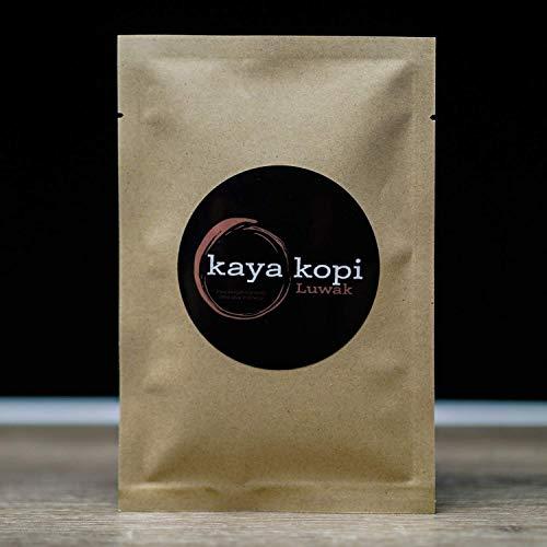 Kaya Kopi Premium Kopi Luwak From Indonesia Wild Palm Civets Arabica Coffee Beans (Kopi Luwak Light Roast, 3.52 Ounce (Pack of 1))