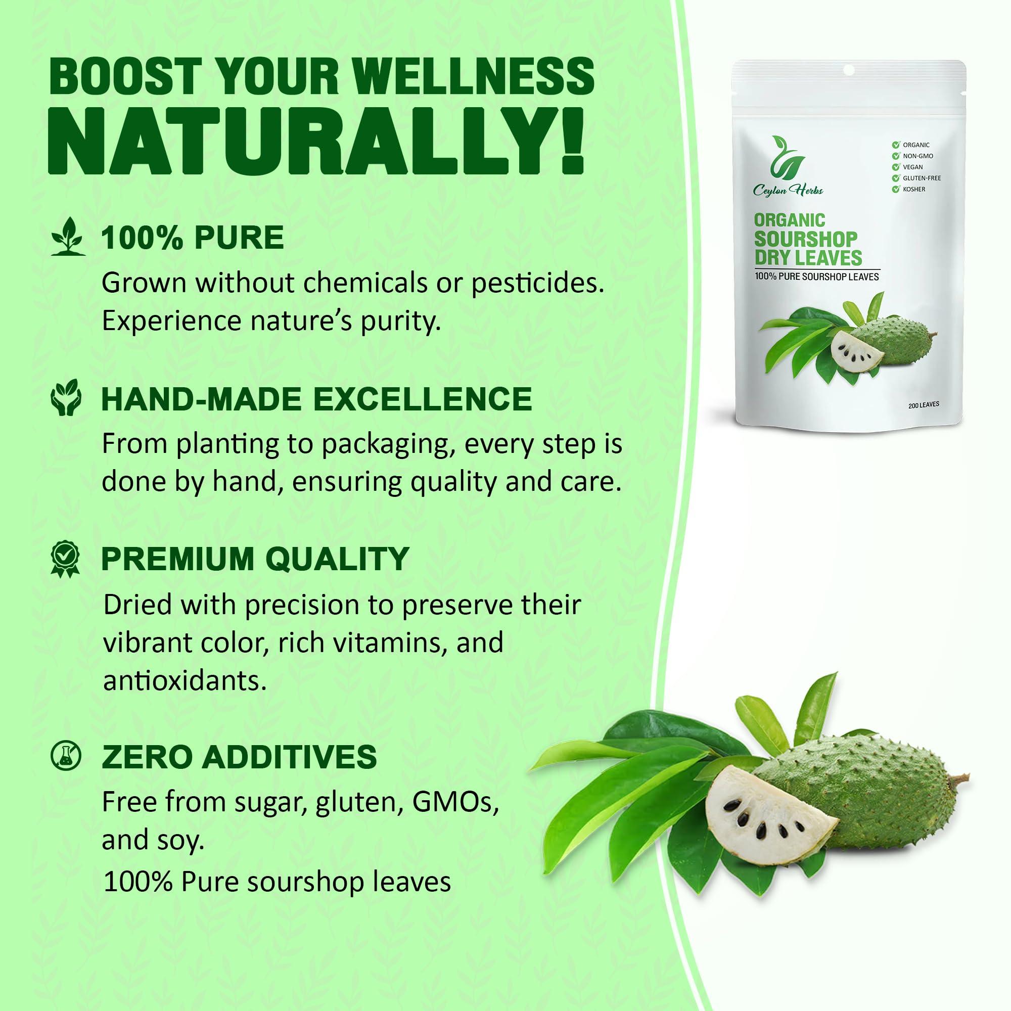 CEYLON HERBS 200 Natural Soursop Leaves - Handpicked, Well-Cleaned, 100% Pure and Fresh for Tea