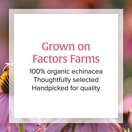 Natural Factors Natural Factors, Anti-V Liquid Formula, Echinacea Supplement for Immune and Wellness Support, Organic, Non-GMO, 3.4 oz (100 servings)