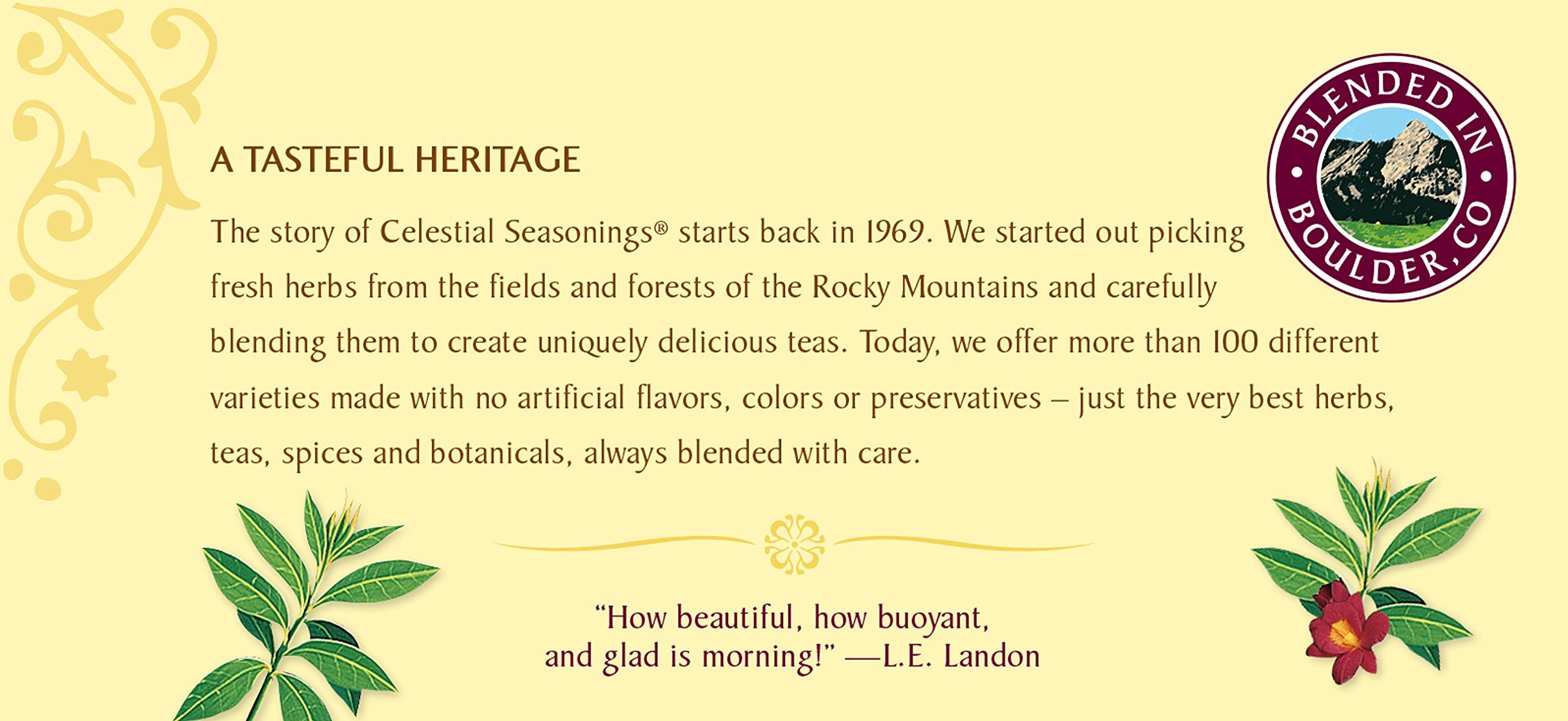 Celestial Seasonings Celestial Seasonings Black Tea, Morning Thunder, 20 Count