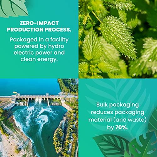 Cederberg Tea Company Organic Nettle Leaf Tea — 100 Tea Bags | Organic Herbal Tea From Single Origin | Eco-Friendly Tea Bags | Non-GMO Caffeine Free Tea With Zero Sugar | Cederberg Tea Company