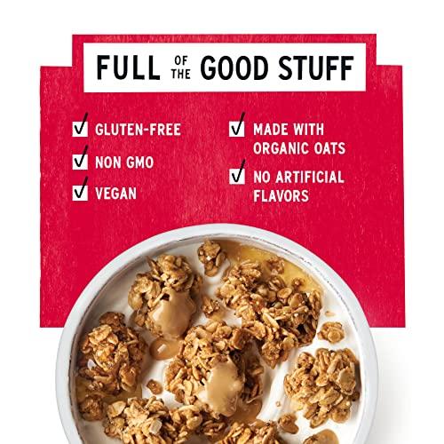 purely elizabeth Purely Elizabeth Ancient Grain Granola, Certified Gluten-free, Vegan & Non-GMO | Coconut Sugar | Delicious Healthy Snack | Cranberry Pecan | 12oz