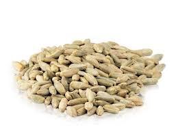 Mulberry Lane Farms Rye Berries, 5 Pounds USDA Certified Organic, Non-GMO Bulk, Product of USA, Mulberry Lane Farms