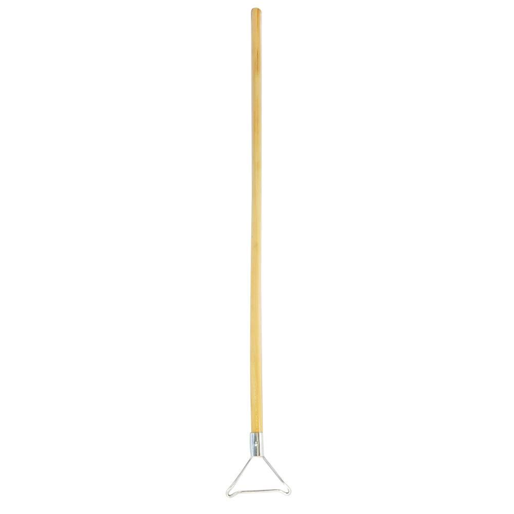 Grandi Groom Grandi Groom AB24 Carpet Rake, 18-Inch Head, 54-Inch Handle, Blue