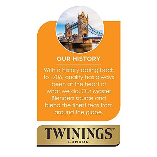 Twinings Twinings of London Cold Brew Green Tea with Mint Tea Bags, 20 Count
