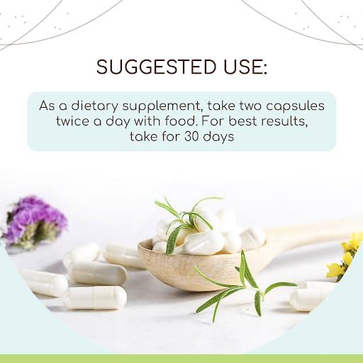 HerbEra Lady's Mantle 120 Capsules, 500 mg, Lady's Mantle (Alchemilla vulgaris) Dried Herb (120 Capsules)