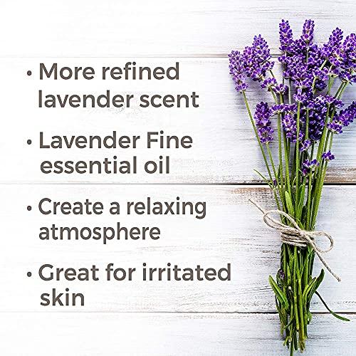 Plant Therapy Plant Therapy Organic Lavender Fine 30 mL (1 oz) 100% Pure USDA Certified, Undiluted, Therapeutic Grade