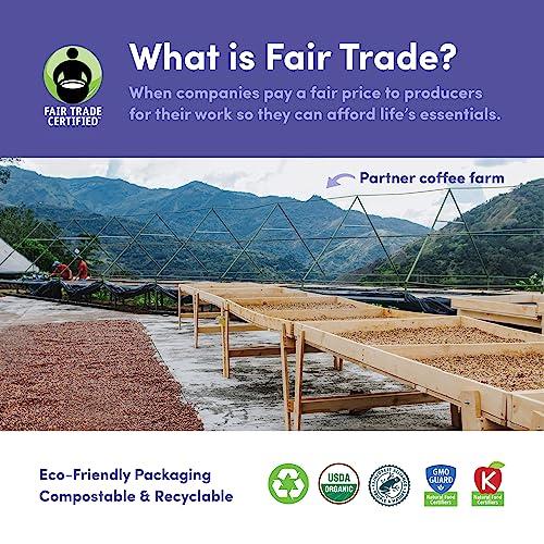 DAILY ROASTED BEAN&BEAN ORGANIC COFFEE Bean & Bean Around the World Coffee & Chocolate Gift Set 4 x 1.8oz Coffee Samplers Paired with Belgian Chocolates - Organic & Fair Trade - Includes Single Origin Coffee - Medium Roast, Whole Bean