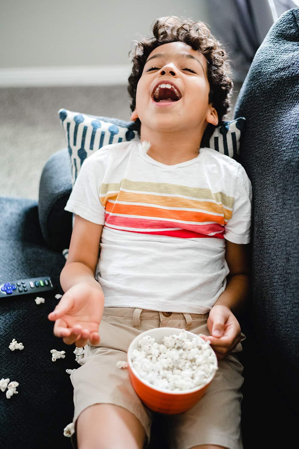 Snapple Snapple Juice Drink Diet Raspberry Tea