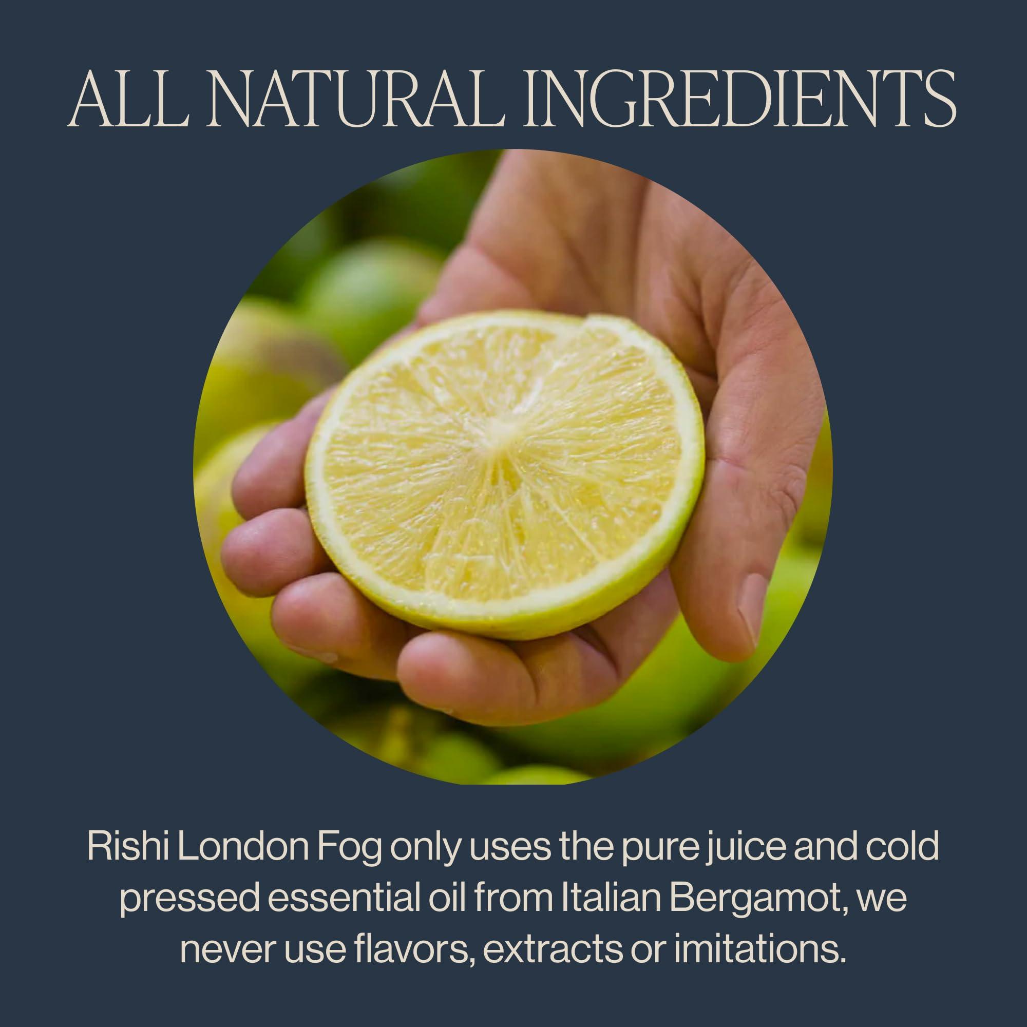 Rishi Tea Rishi Tea London Fog Latte, Organic Black Tea Concentrate with Bergamot, Easy-to-Serve Hot or Iced Earl Grey Tea Mix - 32 fl oz Carton, 8 Servings (Pack of 3)