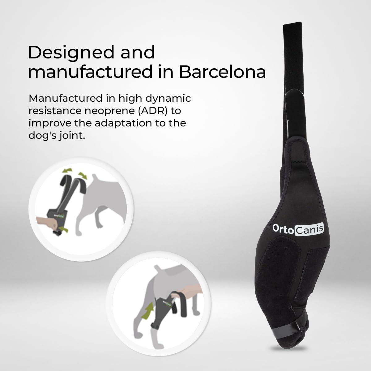 Ortocanis Ortocanis Dog Knee Brace for Torn Acl Hind Leg, Ligament Rupture and Patella Luxation - Dog Acl Knee Brace - Dog Braces for Back Leg for Support - Dog Back Leg Support Brace (Size XL, Left Leg)