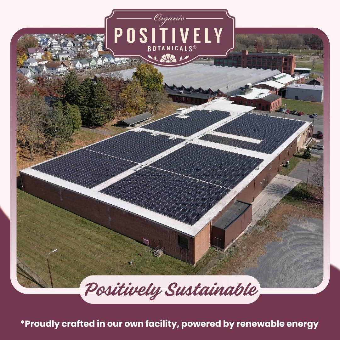 Organic Positively Tea Company Organic Positively Botanicals Company, Moringa Leaf Herbal Tea Bags, 20 Count