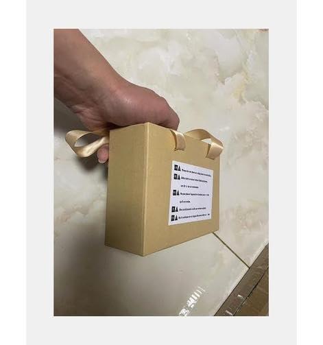 YXJPP Window Cleaning Brush,Hydro Telescopic Brush with Squeegee, Water/Hose delivery Pole, Cleaning photovoltaic and Solar panels/12 m pole/50 cm Brush Head,6M/20FT