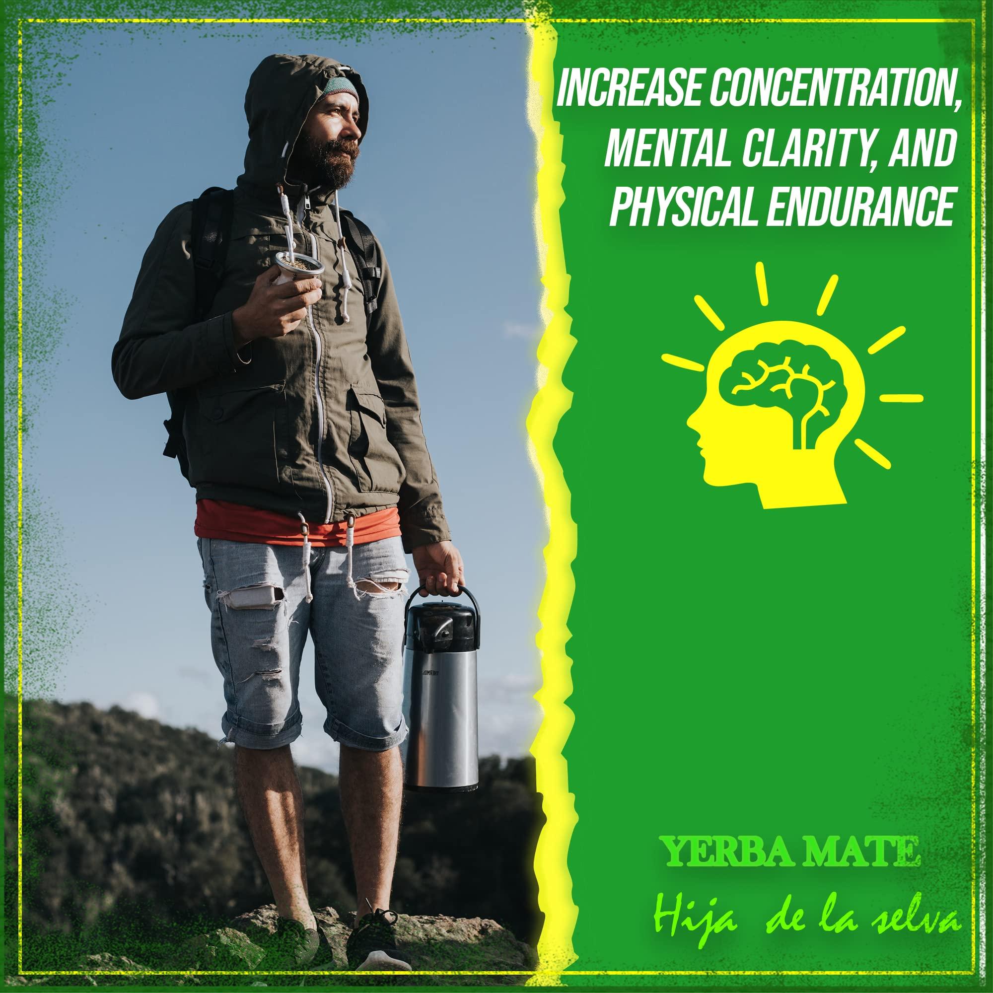 The Argentino The Argentino Yerba Mate Orgnica Hija de la Selva T Suelto Tradicional Sudamericano Bebida De T