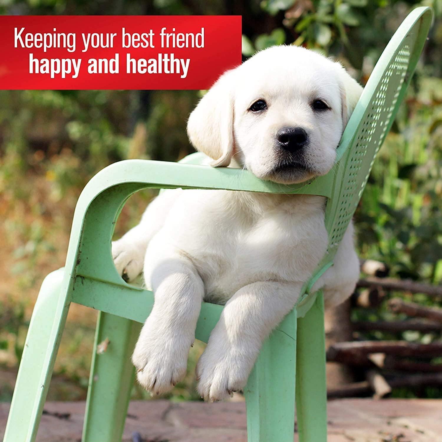 Sulfodene Sulfodene 3 Way Ointment