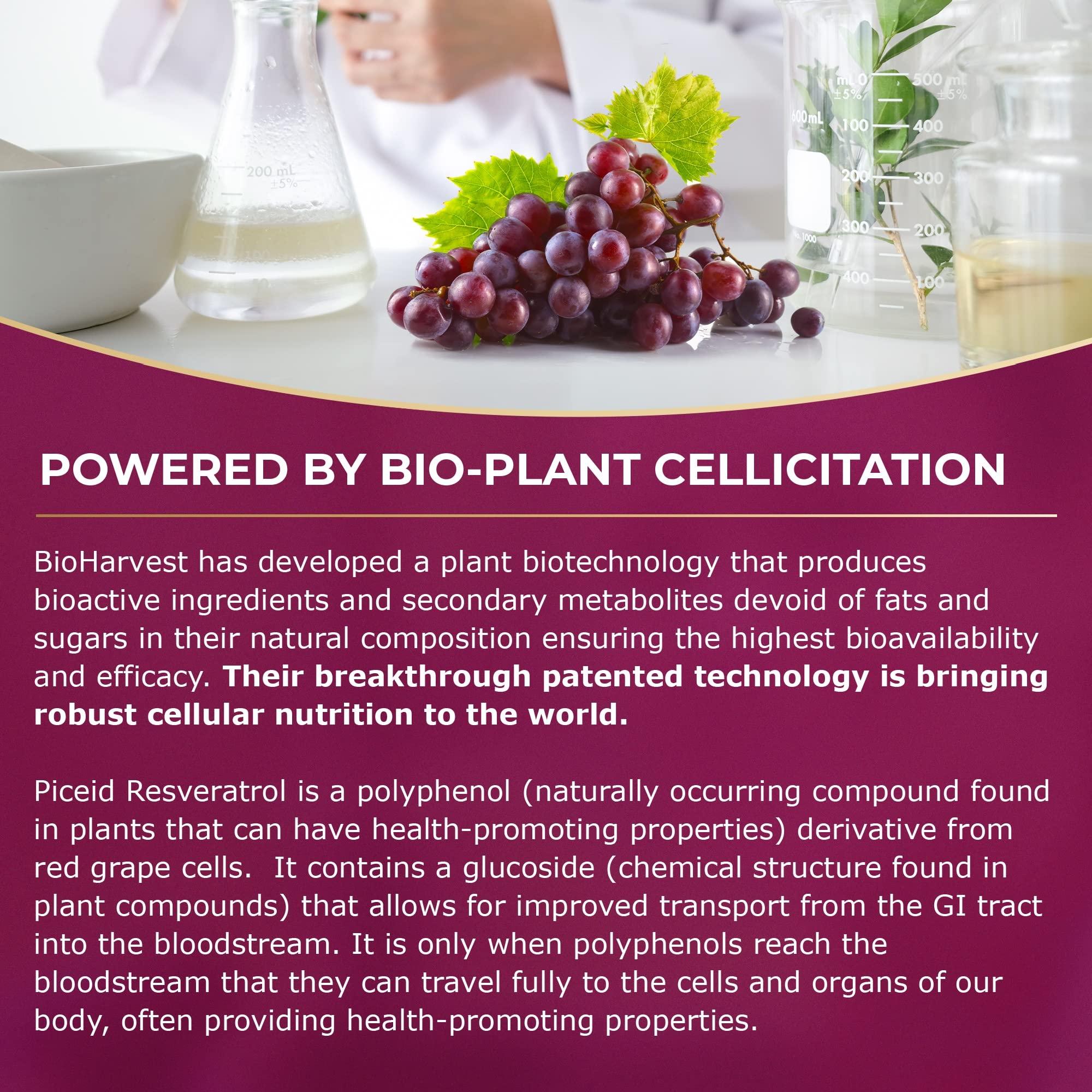 VINIA VINIA Blood Flow Supplement Super Bundle. 90 Day Supply for Best Results as Shown on Clinical Trials.