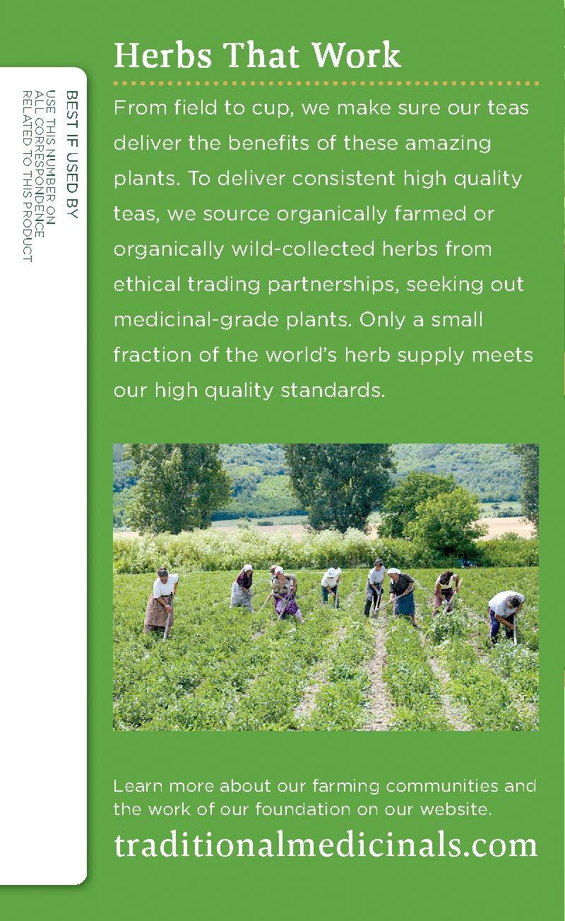 Traditional Medicinals Traditional Medicinals Organic Green Tea Peppermint Tea, 16 Tea Bags