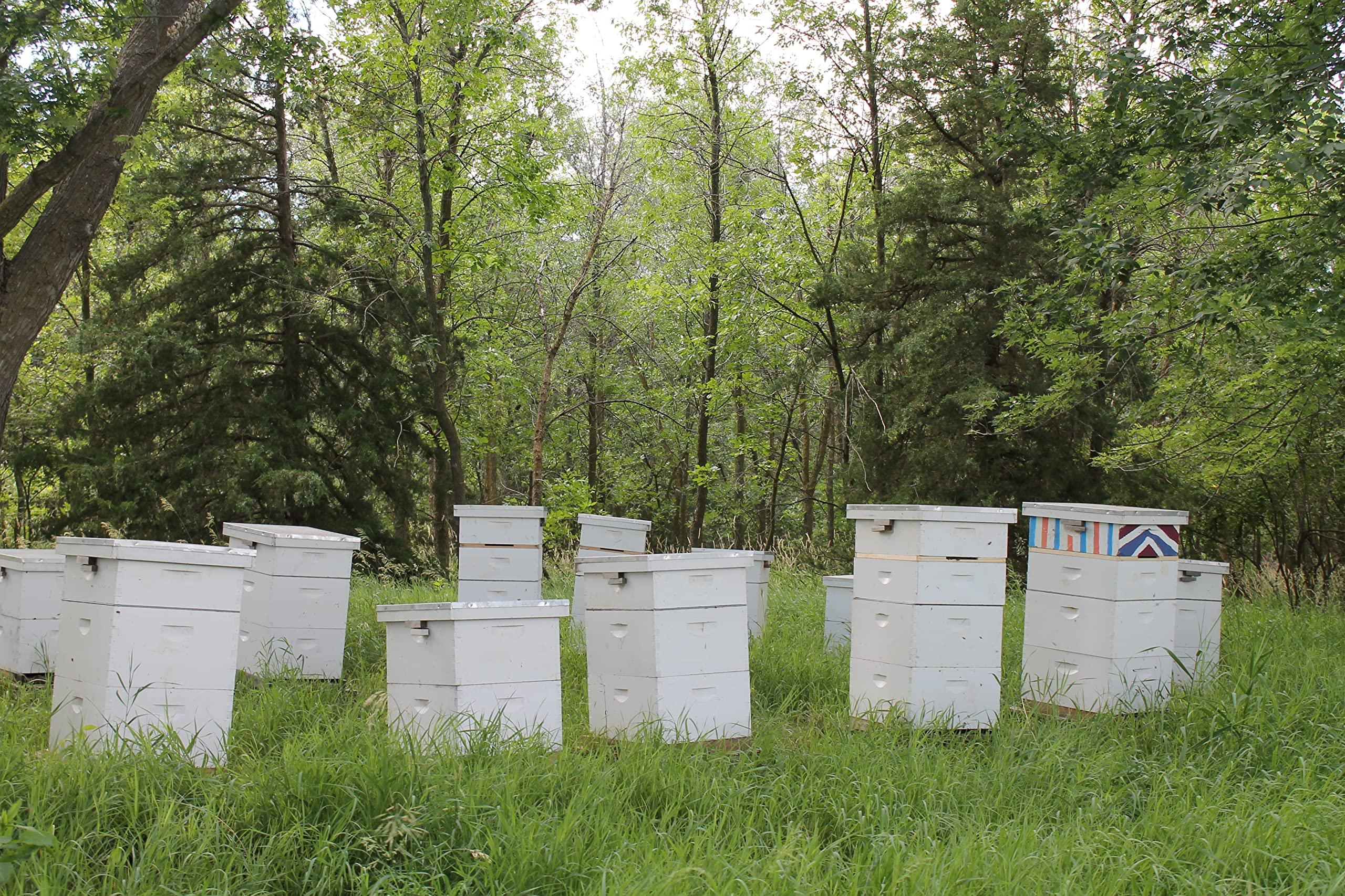 Prairie River Honey Farm Pure Royal Jelly 5 oz Jar (142 Grams of Pure Royal Jelly)