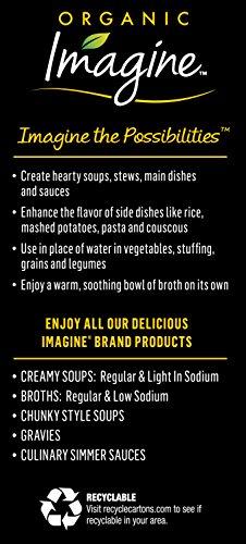 Imagine Imagine Organic No-Chicken Broth, 32 Fl Oz (6 Pack) (Packaging May Vary)