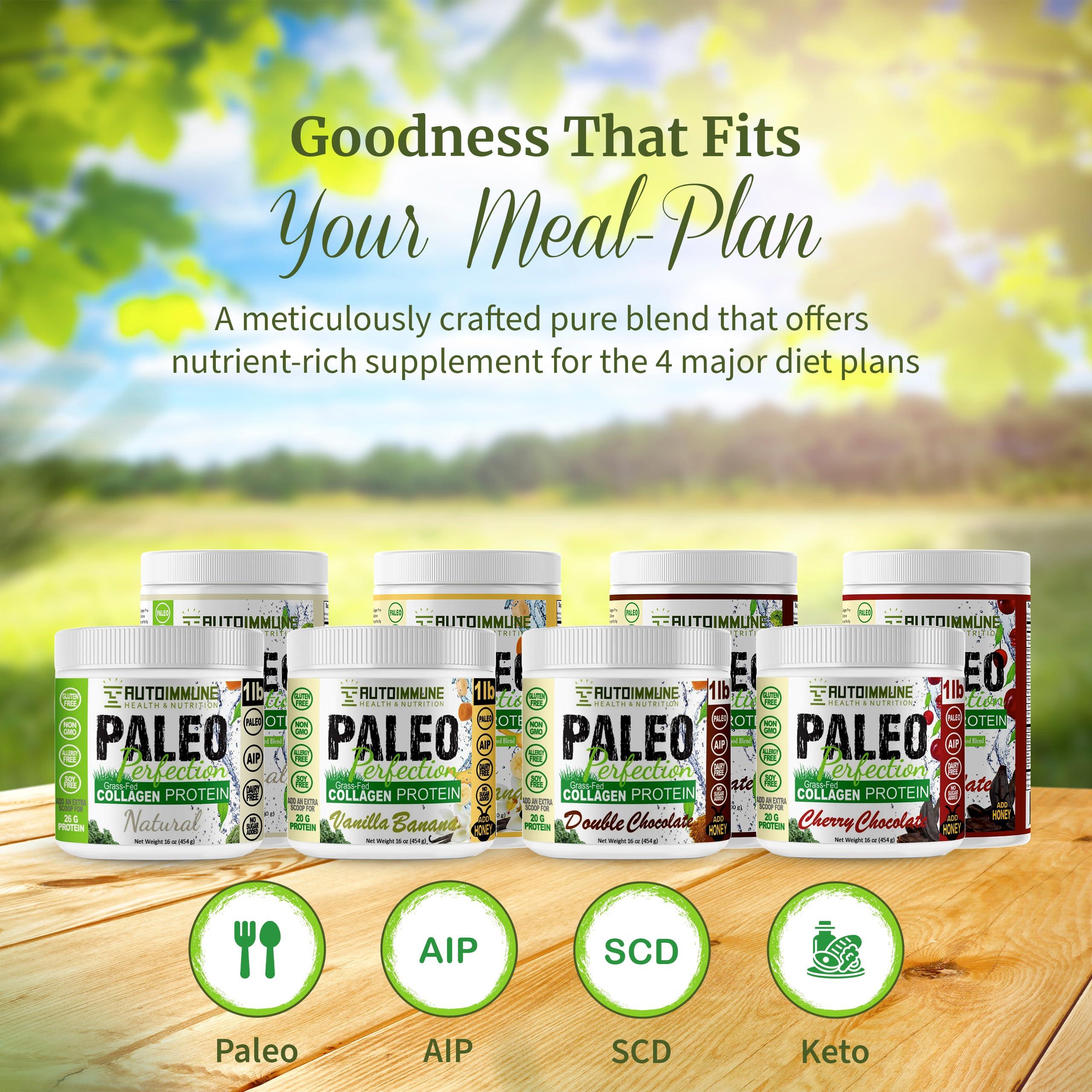 AUTOIMMUNE HEALTH & NUTRITION Paleo Perfection Double Chocolate Grass Fed Beef Collagen Protein Powder without Stevia - Paleo, Keto, SCD, AIP Protein Powder w/ Apple Fiber, Carrot, Broccoli - 300g Protein Powder & Superfood Blend