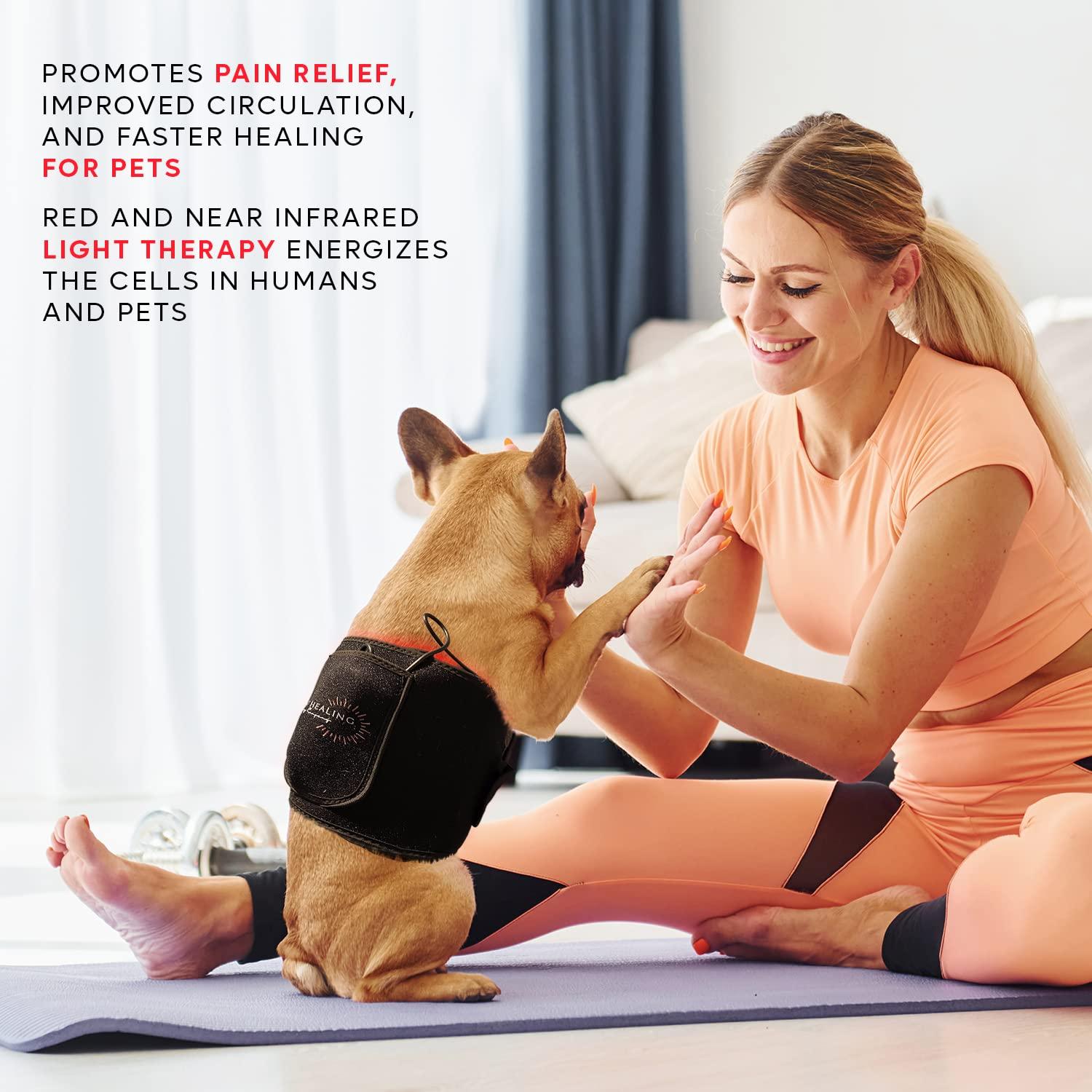 SACRED HEALING SUPPLY COMPANY Sacred Healing Infrared + Red Light Therapy Belt - Full Body Portable Advanced Medical Grade Technology for Pain Relief, Skin Care, Body Contouring and More. Power Bank & Ebook Gift Set