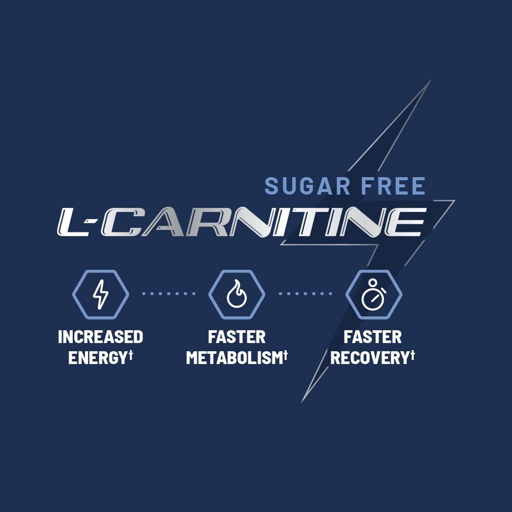 Snap Supplements Sugar Free L Carnitine 500mg Gummy - Natural Pre Workout L-Carnitine Supplement - Increased Energy, Faster Recovery, Boost Metabolism, Pre Workout for Women & Men, Blueberry Flavor (60 Gummies)