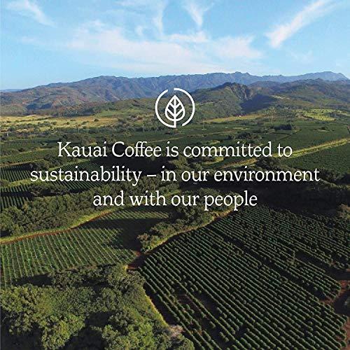 KAUAI COFFEE Kauai Coffee Vanilla Macadamia Nut, Medium Roast - Whole Bean Coffee, 24 oz Package