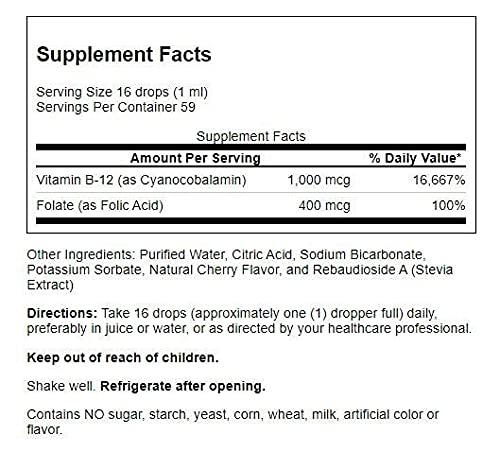 World Organics World Organics Liquid B-12 with Folic Acid, 2 Ounce