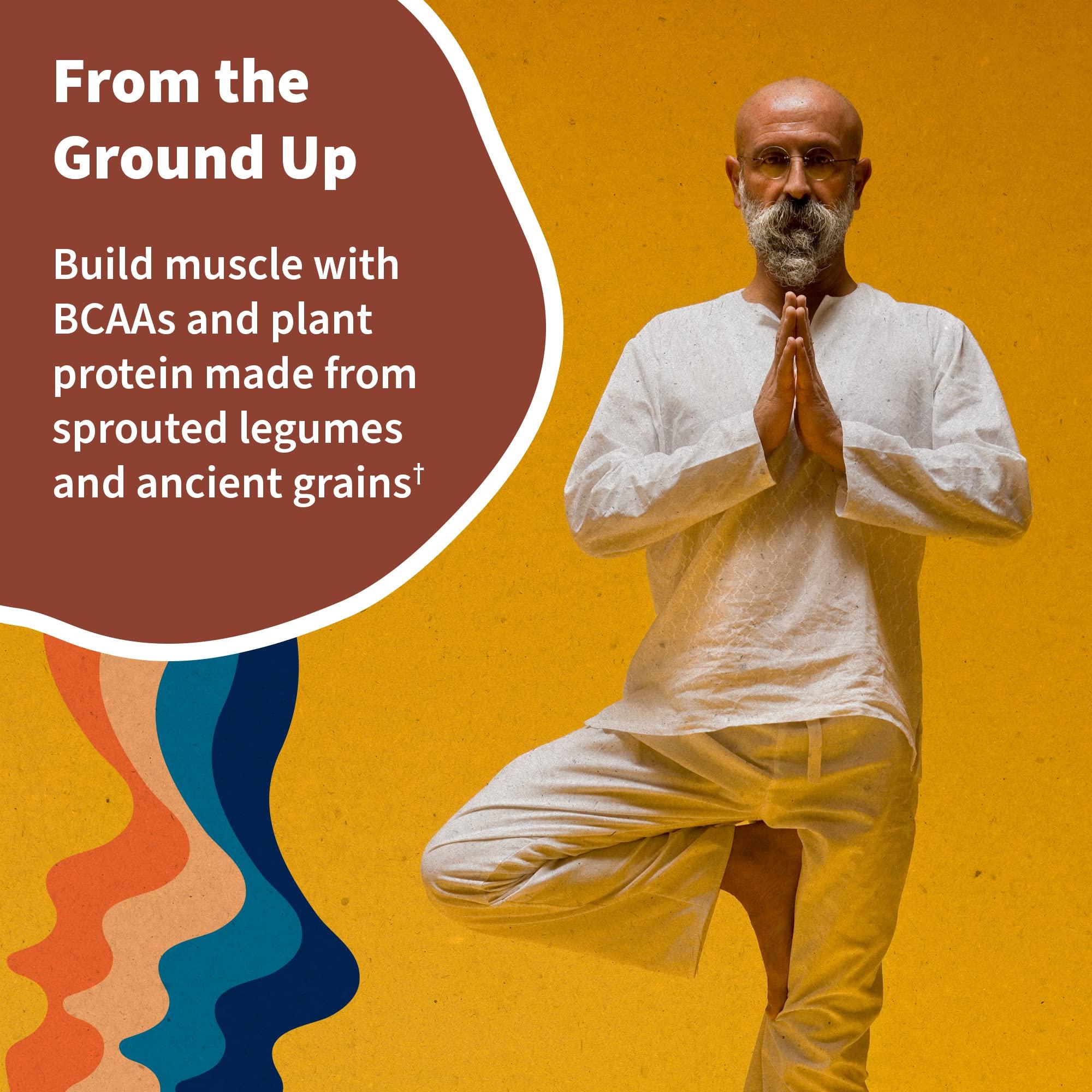 Garden of Life Garden of Life Raw Organic Protein Vanilla Chai Powder, 20 Servings, Certified Vegan, Gluten Free, Organic & Non-GMO, Plant Based Sugar Free Protein Shake, Probiotics & Enzymes, 4g BCAAs, 22g Protein