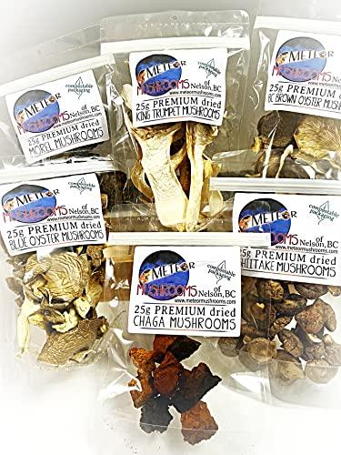 Meteor Mushrooms Lions Mane Mushrooms ~ dried pieces