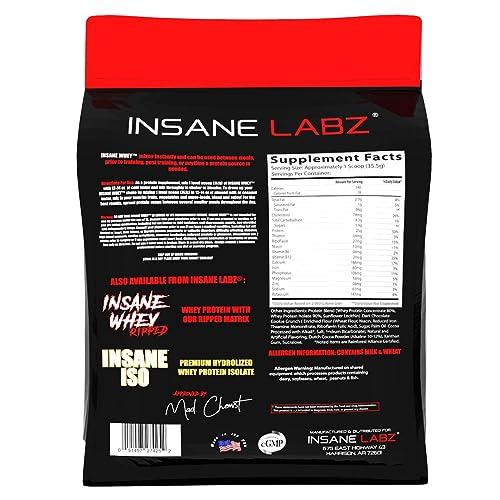 Insane Labz Insane Labz Insane Whey,100% Muscle Building Whey Protein, BCAA Amino Profile, Mass Gainer, Meal Replacement (Chocolate, 120 Servings)