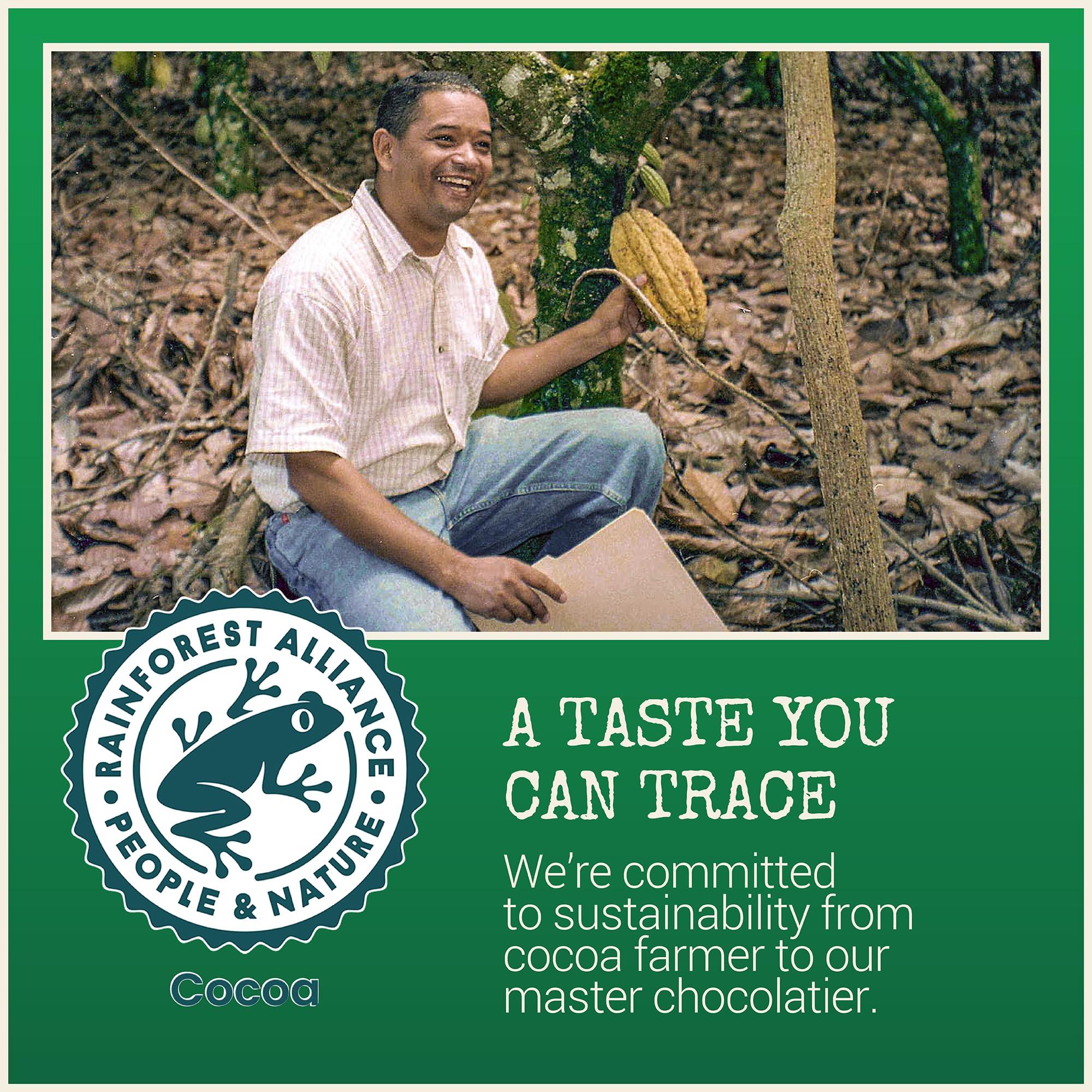 Chocolove Chocolove Mint Crme Chocolate Bites | 55% Cocoa | Refreshing Mint Filling | Crafted with Premium Belgian Dark Chocolate | Dairy-Free, Non-GMO, & Gluten-Free, 3.5 oz Pack (8 Pack)
