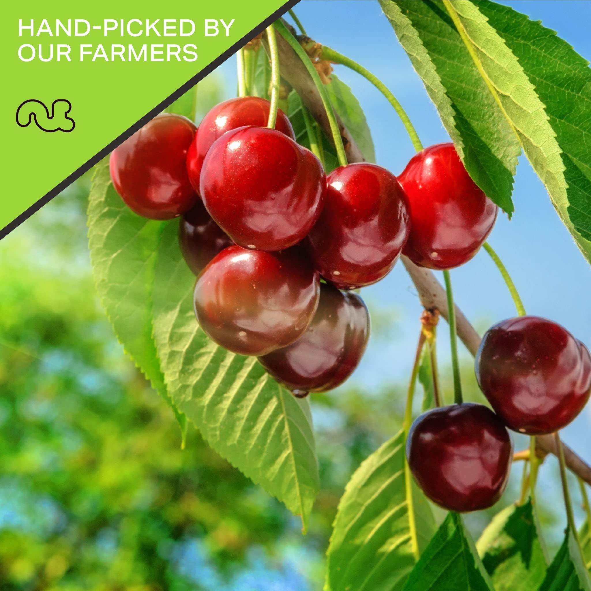 Nut Cravings NUT CRAVINGS Dry Fruits - Sun Dried Sour Tart Cherries, Lightly Sweetened (16oz - 1 LB) Packed Fresh in Resealable Bag - Sweet Snack, Healthy Food, Naturally Grown, Vegan, Kosher Certified