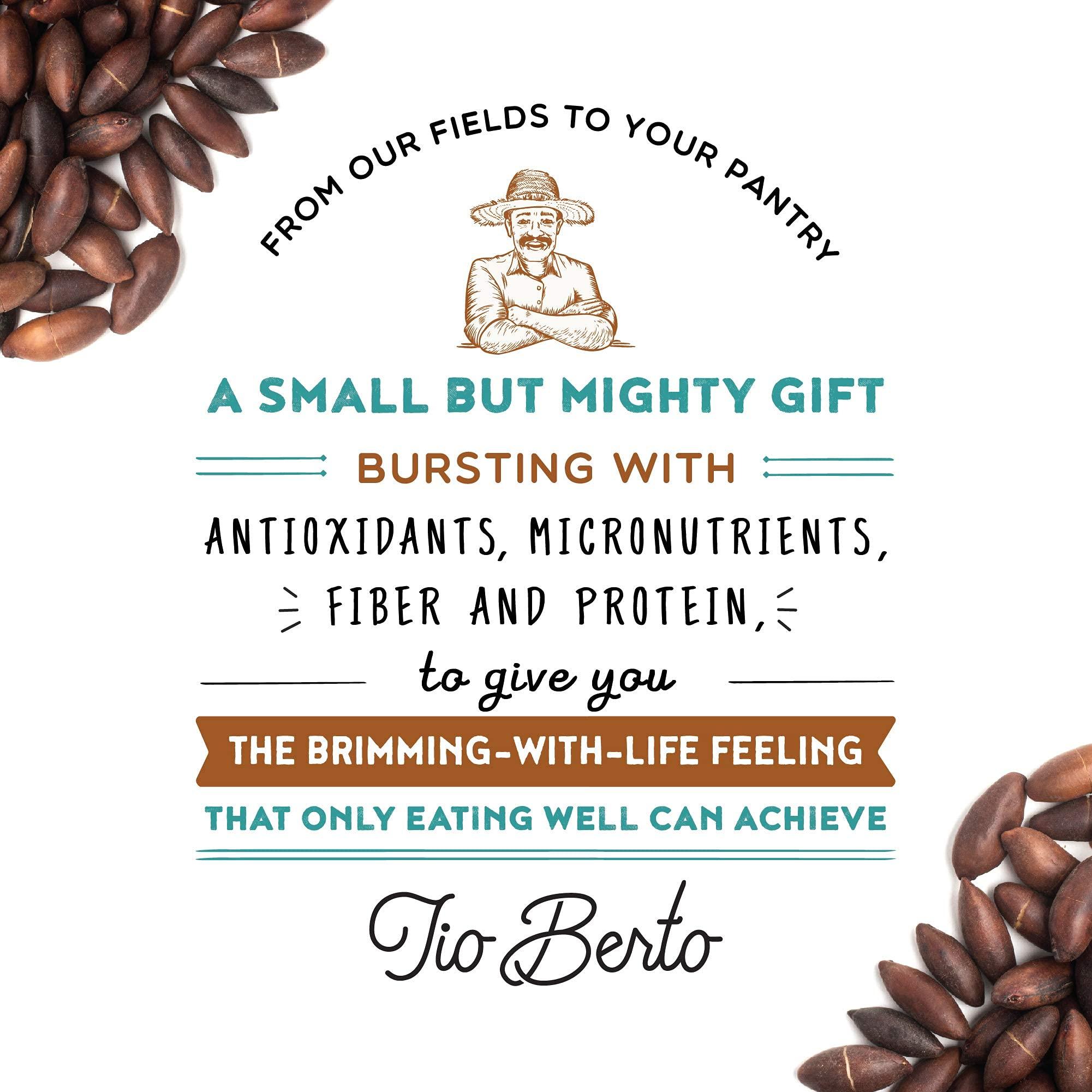 Tio Berto Baru Nuts Roasted, 10 oz Resealable Bag | Crunchy and Delicious | Suitable for Vegan, Gluten Free, Keto, Peanut Free Diets | High Protein Snacks | Premium Wild Supernuts | Healthy Snacks by Tio Berto