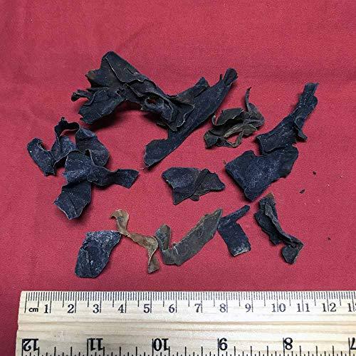 Foster Grant Magnivision Foster Grant Reading Glasses Readers Brianna +2.50