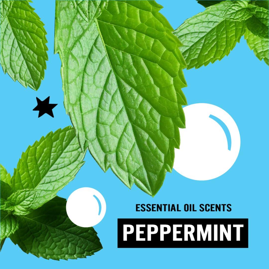 Molly's Suds Molly's Suds Laundry Detergent Pods | Natural Detergent for Sensitive Skin | Ultra Concentrated and Stain Fighting | Peppermint - 60 Count