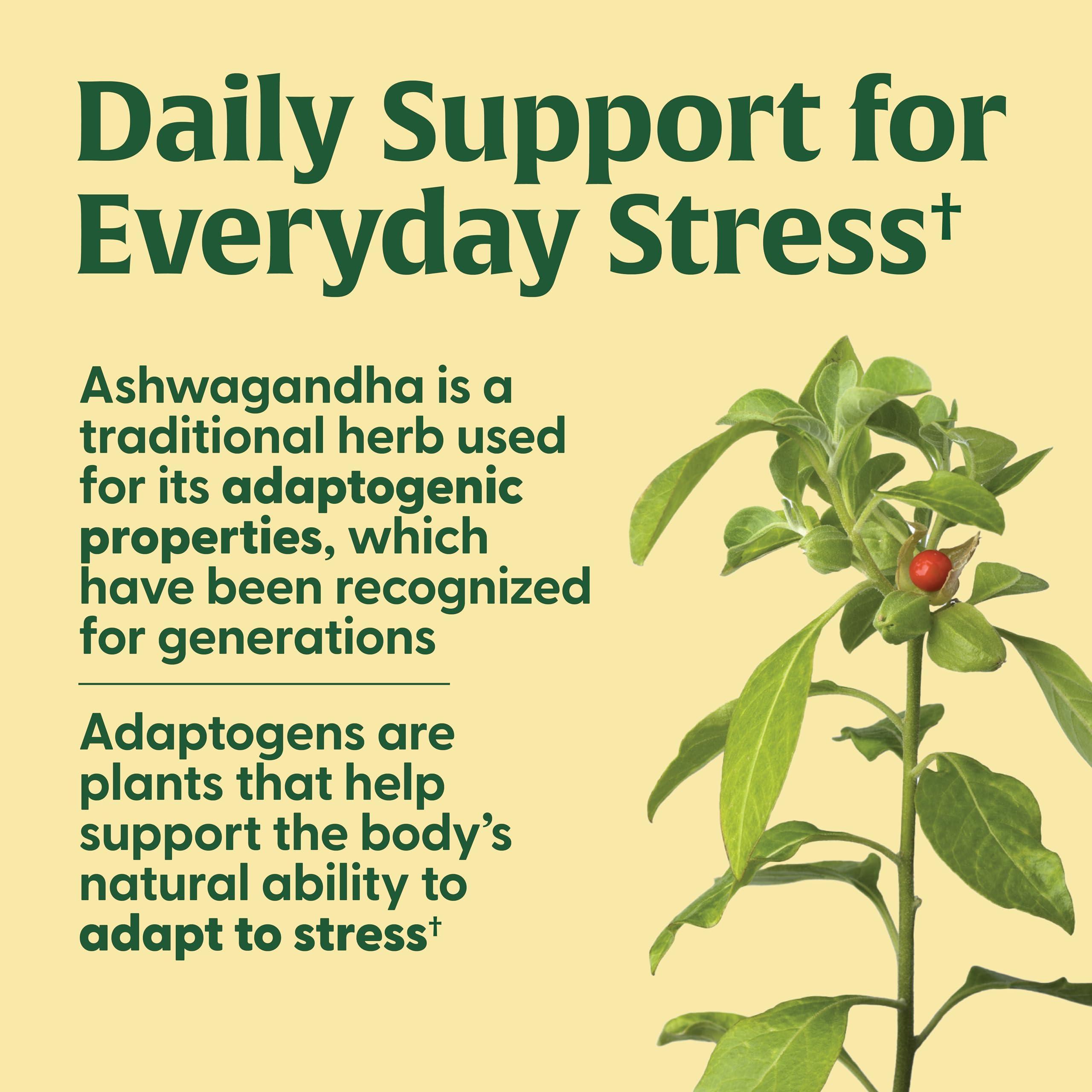 MegaFood MegaFood Adrenal Strength - Sensoril Ashwagandha, Vitamin C, fermented Magnesium Glycinate, Rhodiola Rosea, Reishi Mushroom & Food Blend - Supports a Normal Stress Response - 90 Tabs (45 Servings)